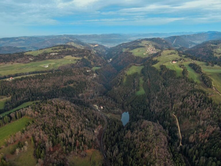 Parteibündnisse und Koalitionen in der Schweiz: Beschreibung und Analyse